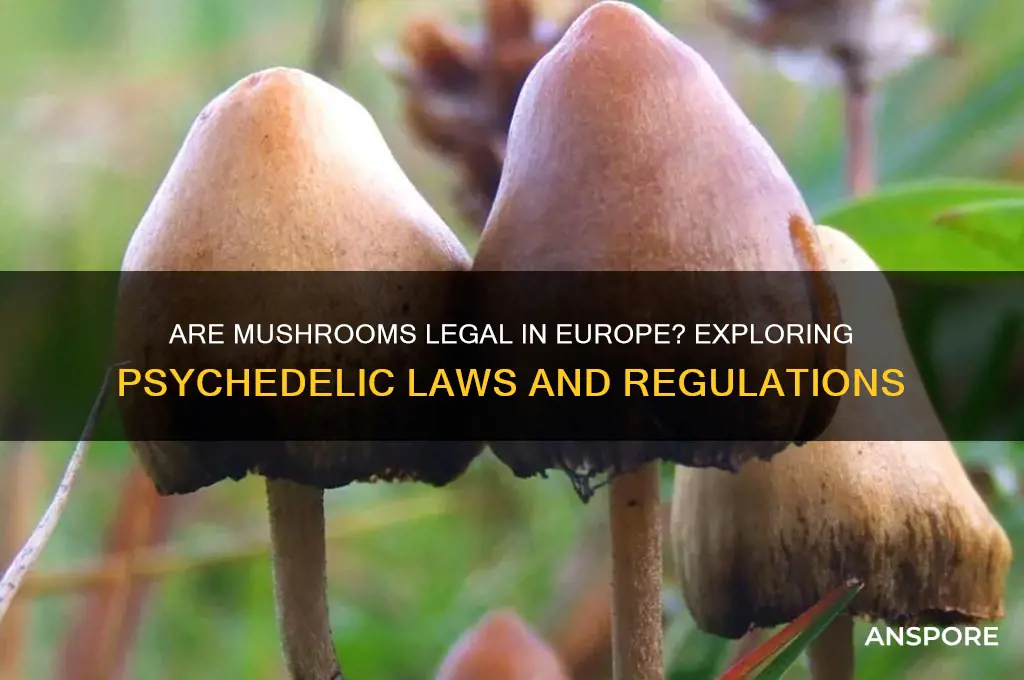 are mushrooms legal in europe