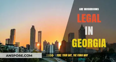 Are Mushrooms Legal in Georgia? Exploring Psilocybin Laws and Regulations