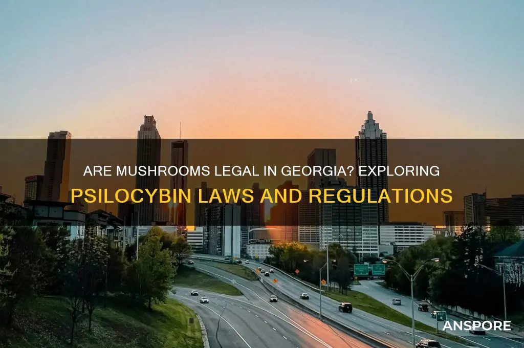 are mushrooms legal in georgia