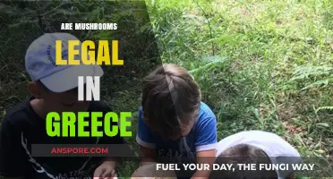 Exploring Mushroom Legality: Are Mushrooms Legal in Greece?