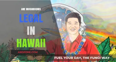 Are Mushrooms Legal in Hawaii? Exploring Psilocybin Laws and Regulations