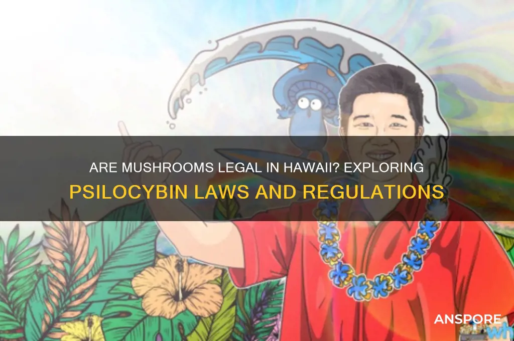 are mushrooms legal in hawaii