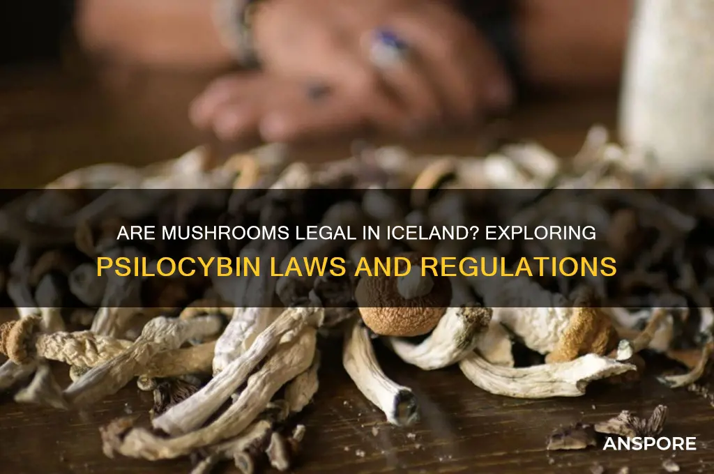 are mushrooms legal in iceland