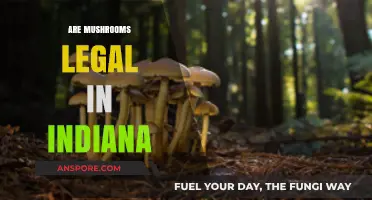 Are Mushrooms Legal in Indiana? Understanding Psilocybin Laws and Penalties