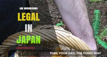Exploring Japan's Mushroom Laws: Legal Status and Cultural Significance