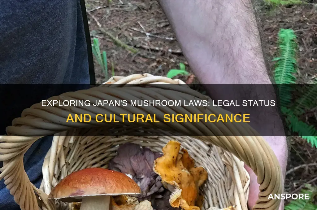 are mushrooms legal in japan