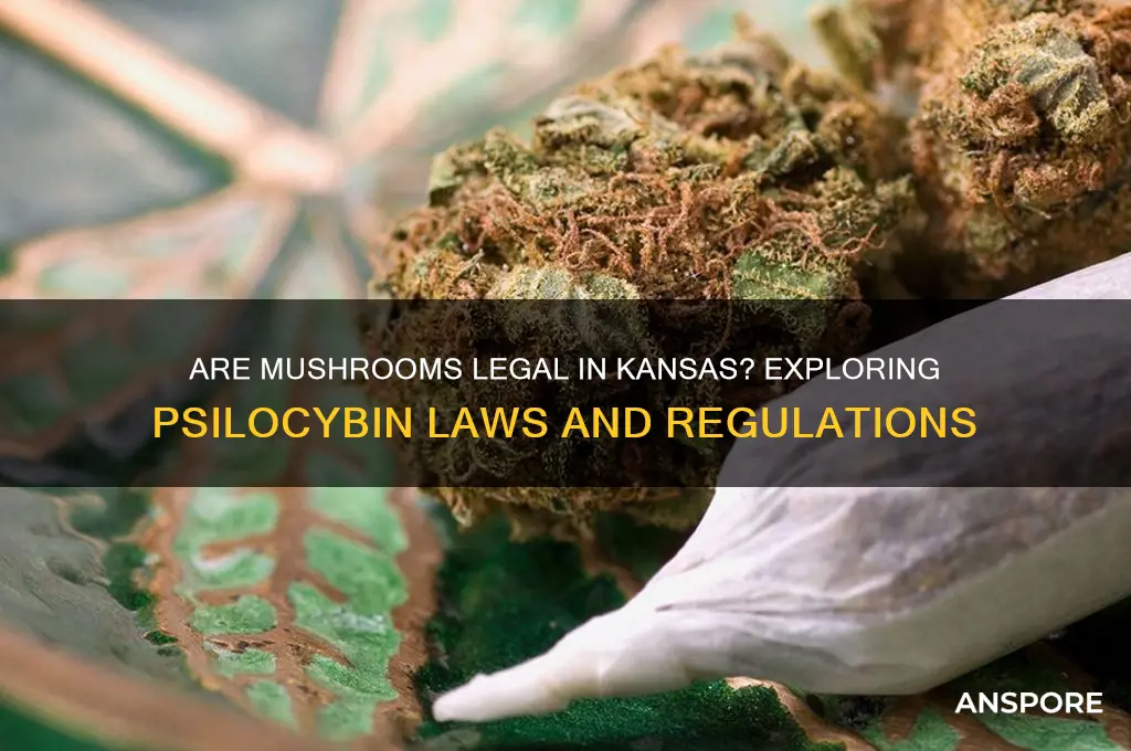 are mushrooms legal in kansas
