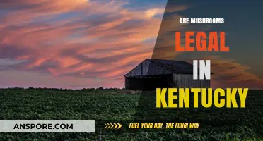 Are Mushrooms Legal in Kentucky? Exploring Psilocybin Laws and Regulations