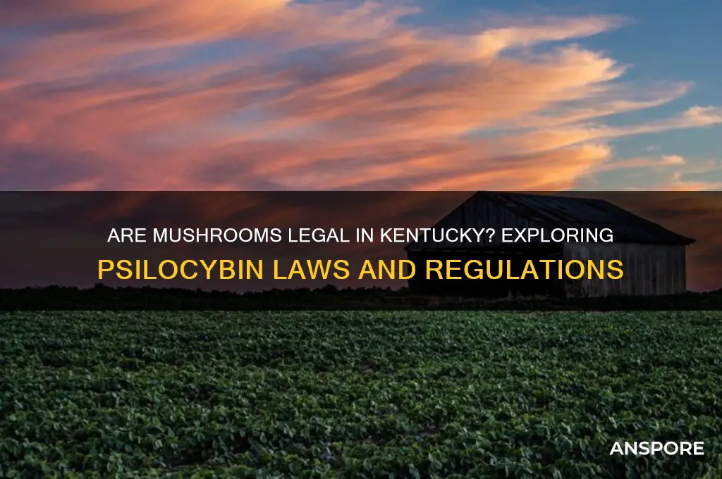 are mushrooms legal in kentucky