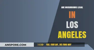 Are Mushrooms Legal in Los Angeles? A Comprehensive Guide