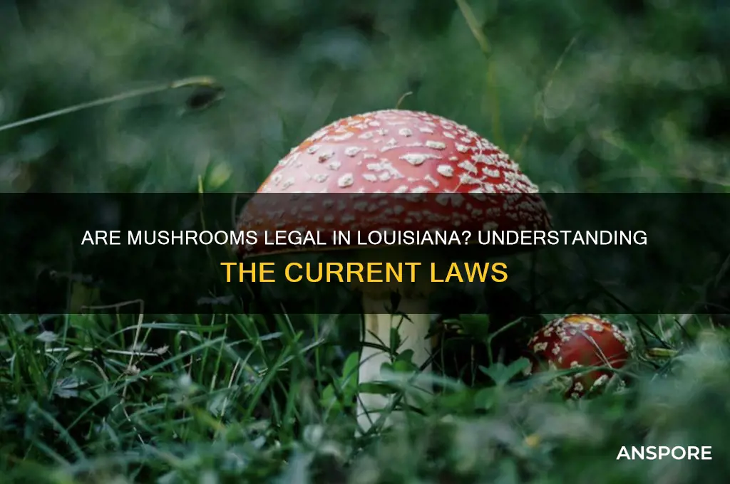 are mushrooms legal in louisiana