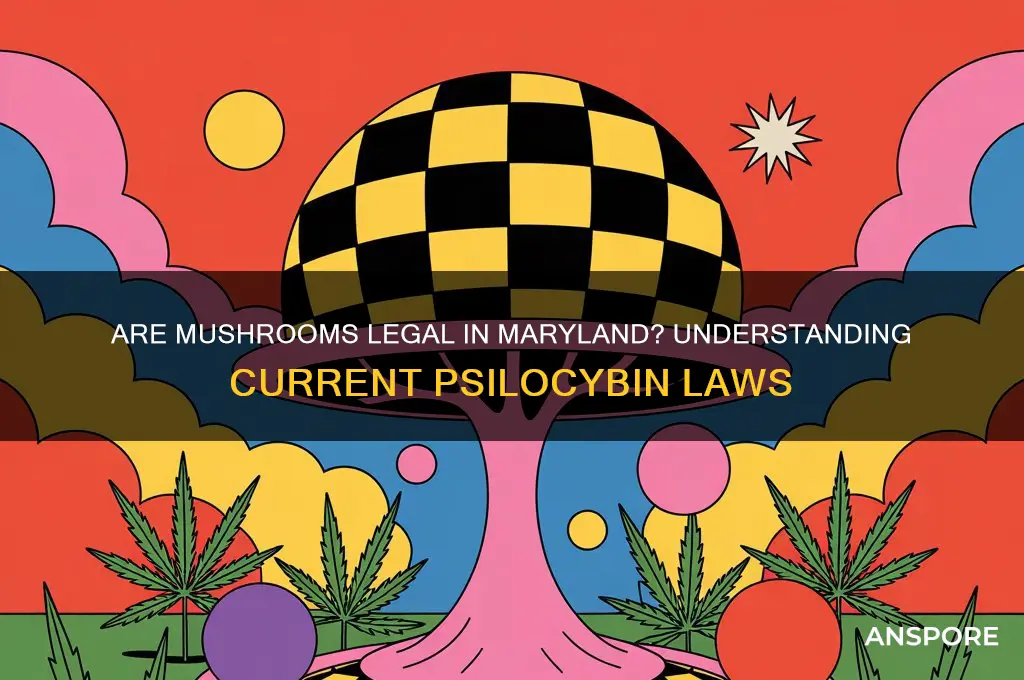 are mushrooms legal in md