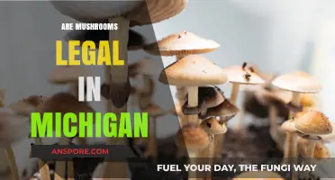 Are Mushrooms Legal in Michigan? Understanding Psilocybin Laws and Regulations