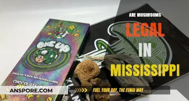 Are Mushrooms Legal in Mississippi? Exploring Psilocybin Laws and Regulations