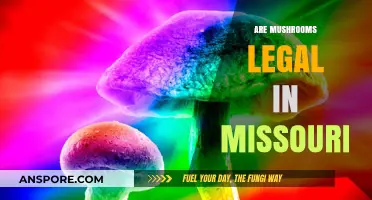 Are Mushrooms Legal in Missouri? Understanding Current Laws and Regulations