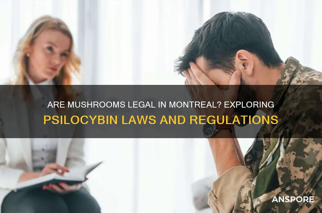 are mushrooms legal in montreal
