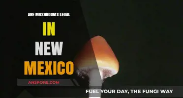 Are Mushrooms Legal in New Mexico? A Comprehensive Guide