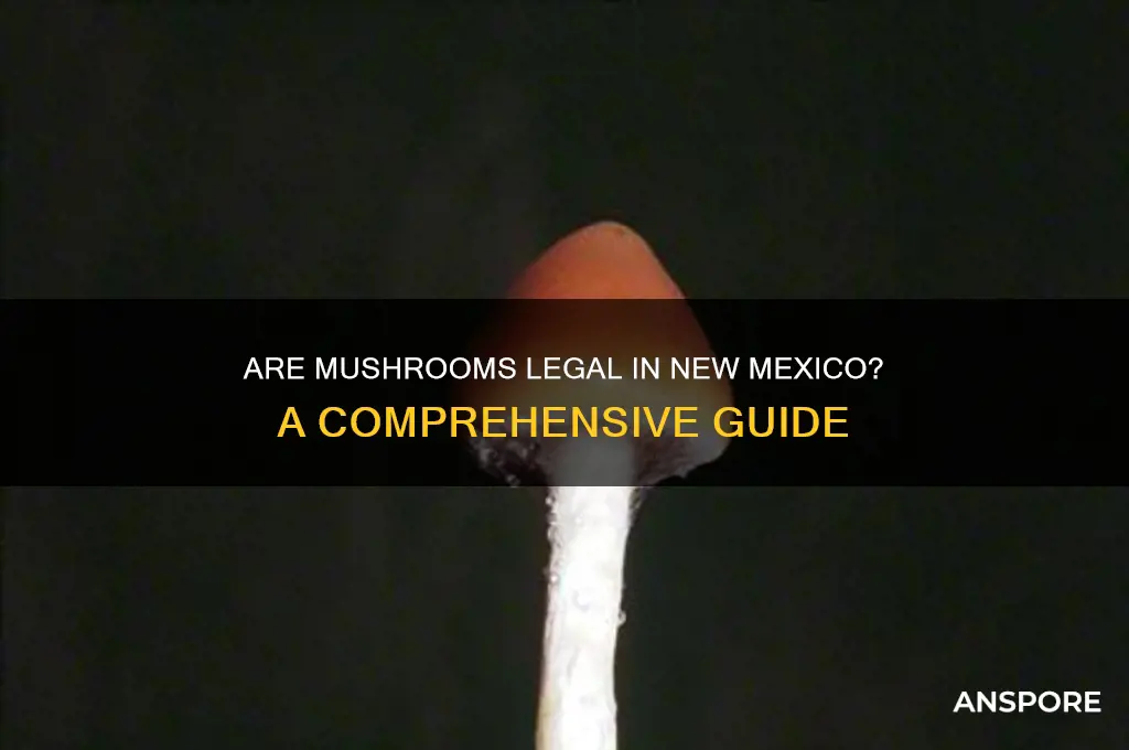 are mushrooms legal in new mexico