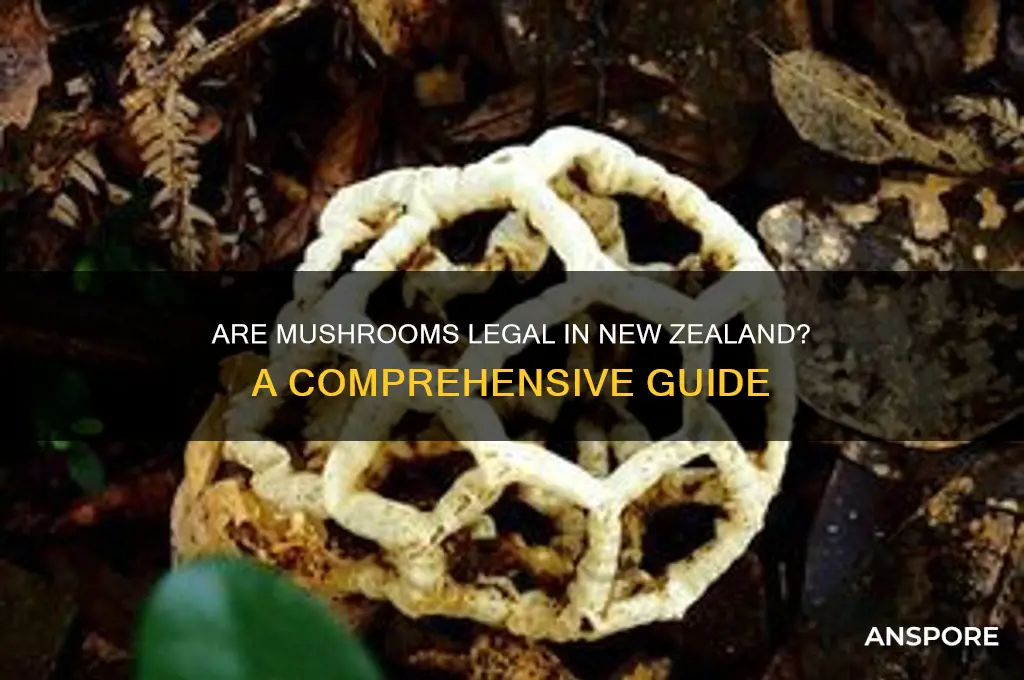 are mushrooms legal in new zealand