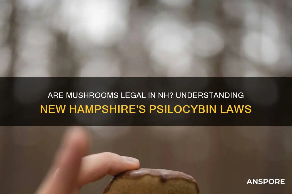 are mushrooms legal in nh