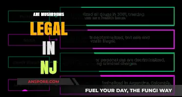 Are Mushrooms Legal in NJ? Understanding Psilocybin Laws and Regulations
