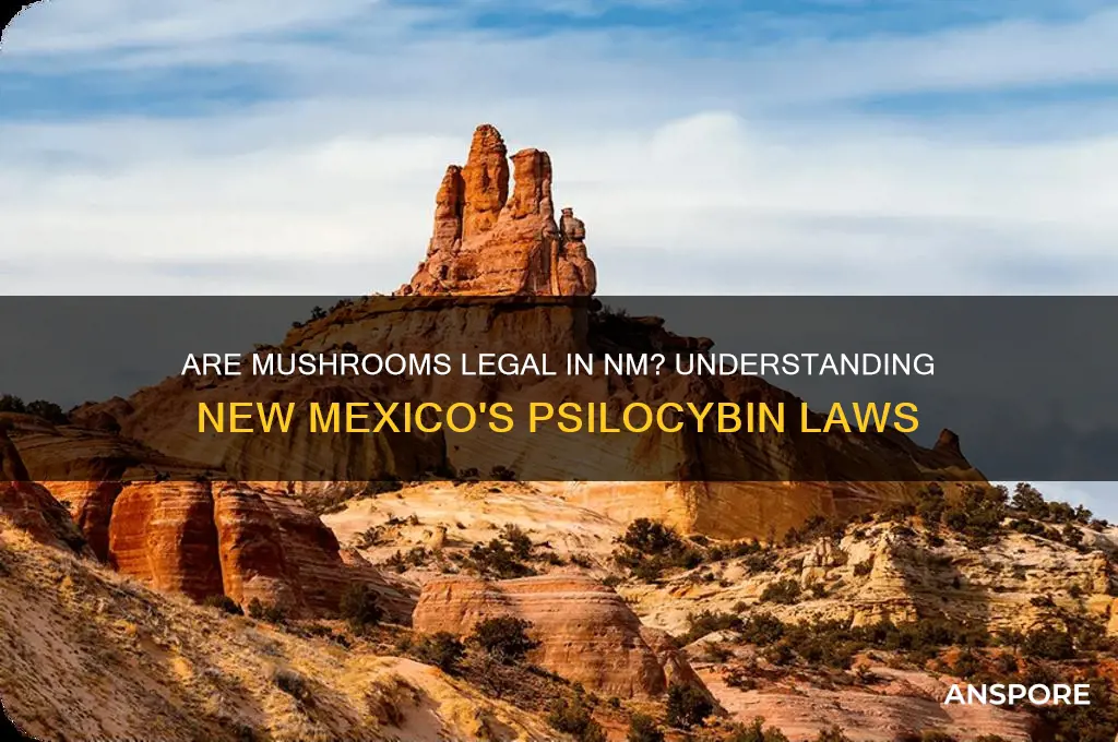 are mushrooms legal in nm