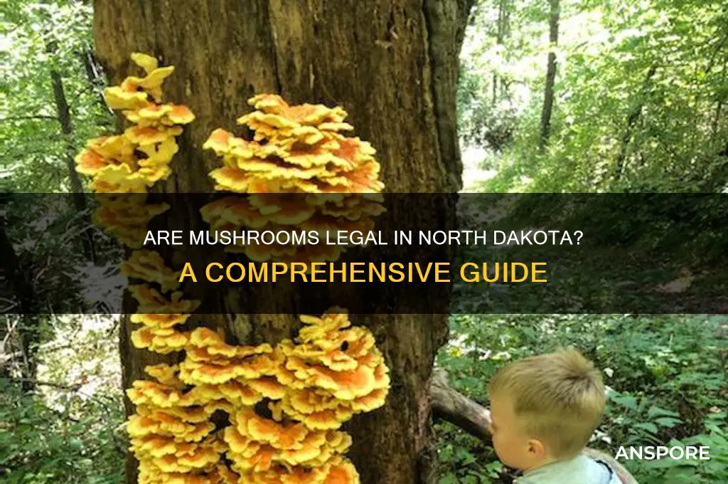 are mushrooms legal in north dakota