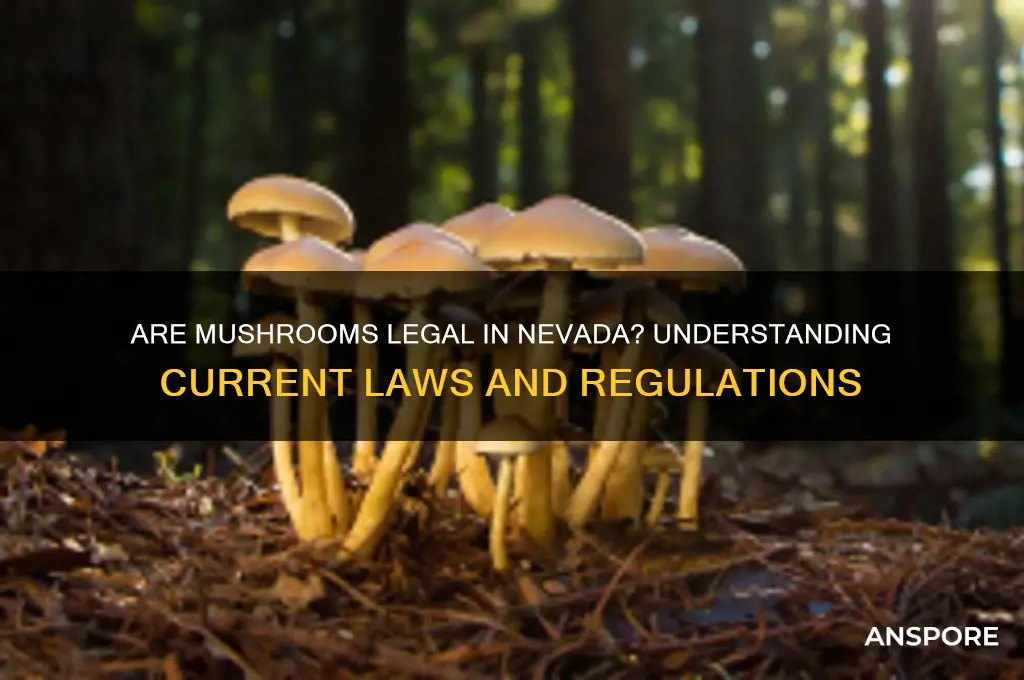 are mushrooms legal in nv