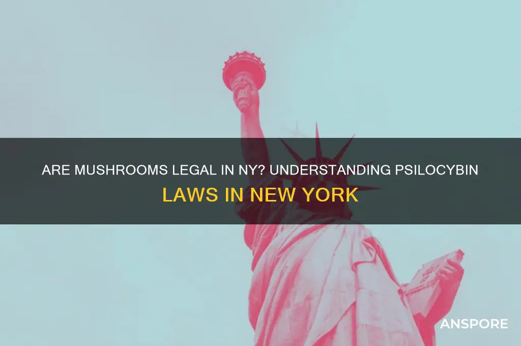 are mushrooms legal in ny