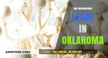 Are Mushrooms Legal in Oklahoma? Understanding Psilocybin Laws and Regulations