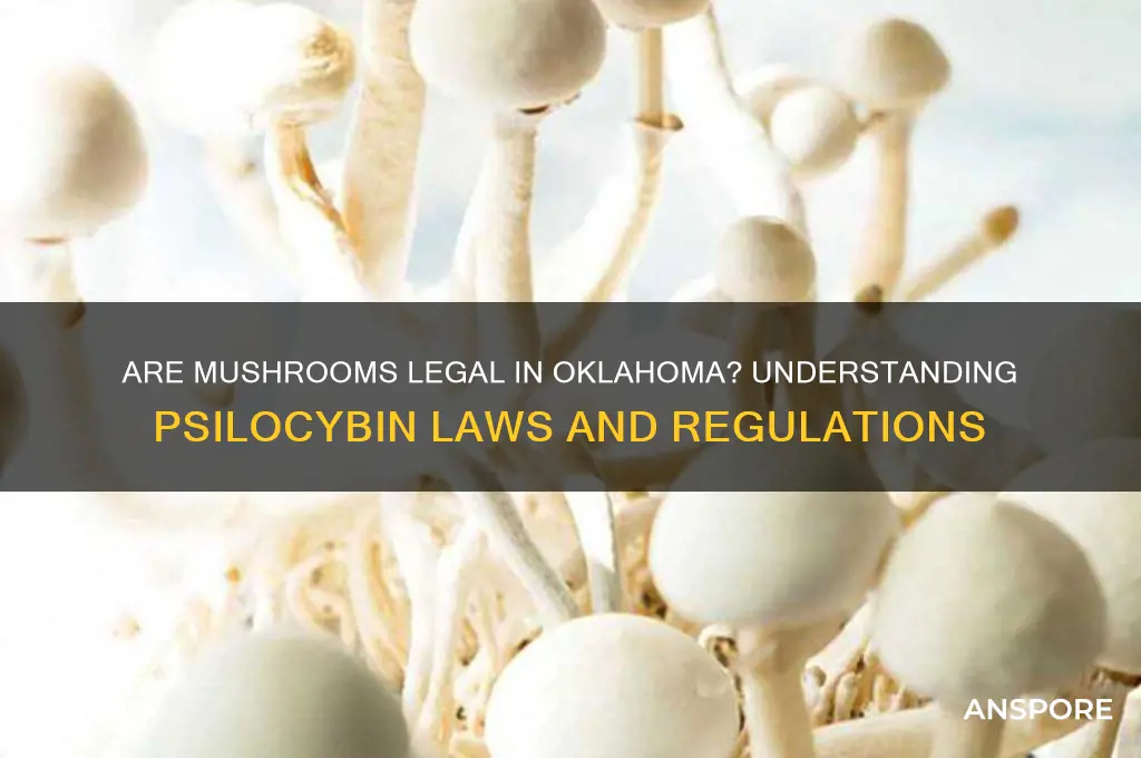 are mushrooms legal in oklahoma