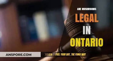 Are Mushrooms Legal in Ontario? Understanding Psilocybin Laws and Regulations
