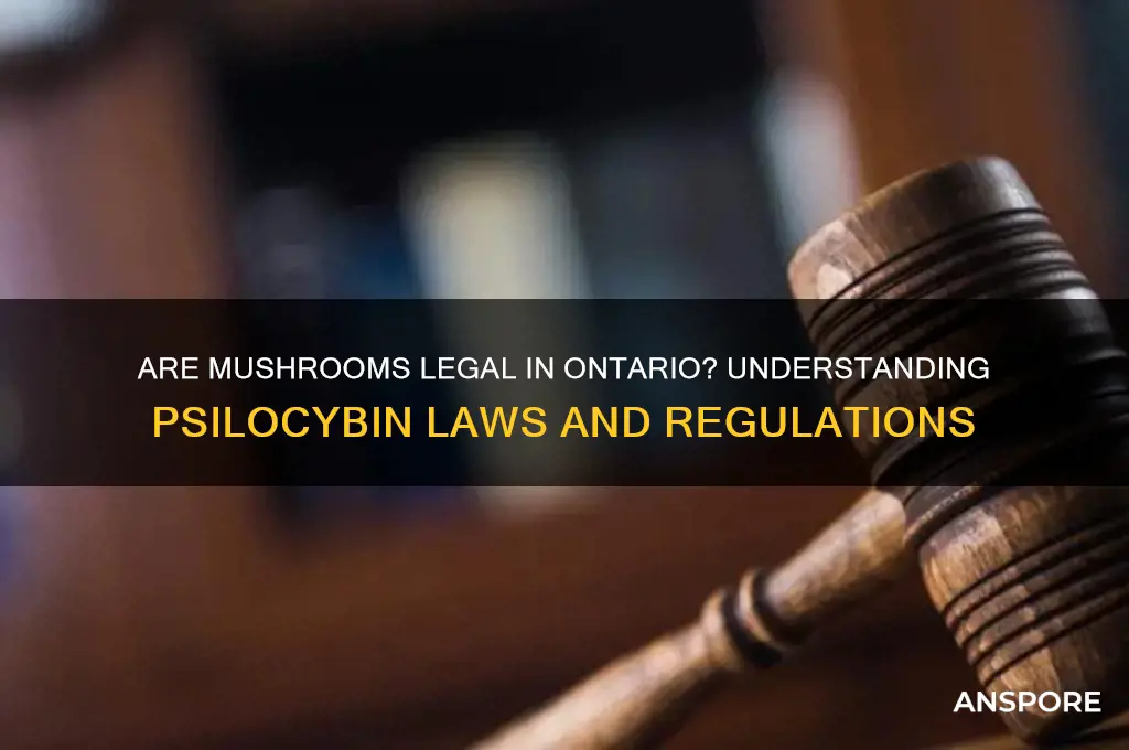 are mushrooms legal in ontario