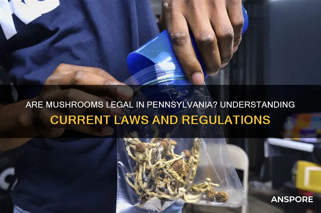 are mushrooms legal in pennsylvania