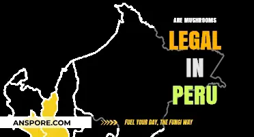 Exploring Peru's Legal Stance on Mushrooms: What You Need to Know