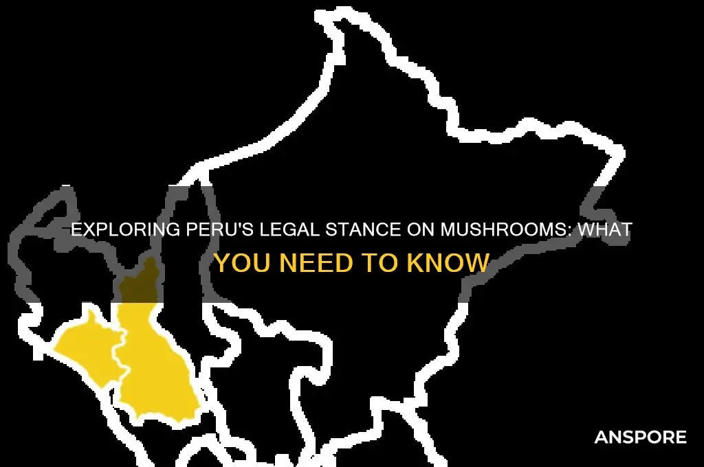 are mushrooms legal in peru
