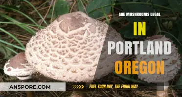 Are Mushrooms Legal in Portland, Oregon? A Comprehensive Guide