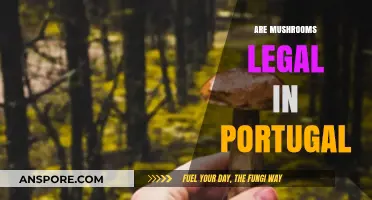 Are Mushrooms Legal in Portugal? Exploring Psilocybin Laws and Regulations