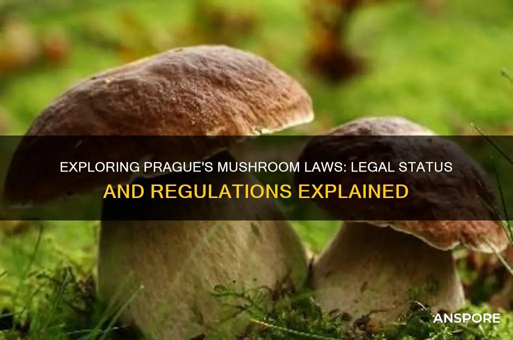 are mushrooms legal in prague