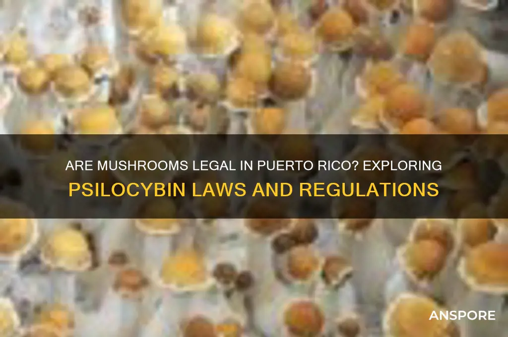 are mushrooms legal in puerto rico