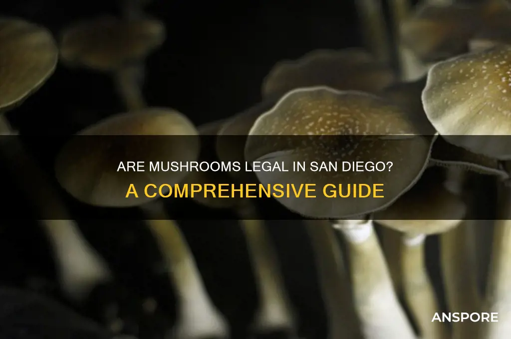 are mushrooms legal in san diego