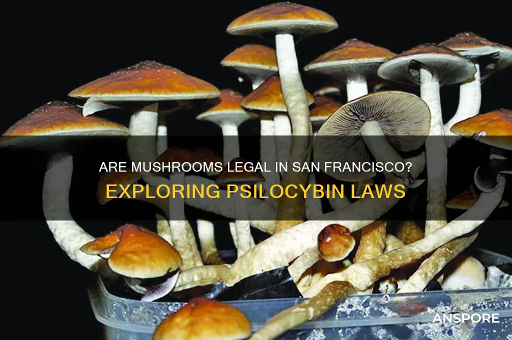are mushrooms legal in san francisco