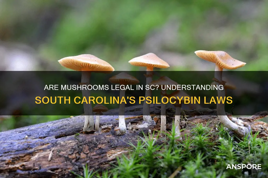 are mushrooms legal in sc