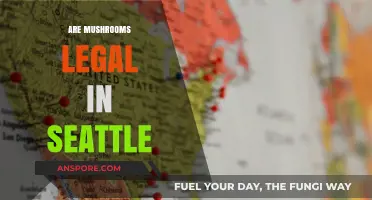 Are Mushrooms Legal in Seattle? Exploring Psilocybin Laws and Regulations