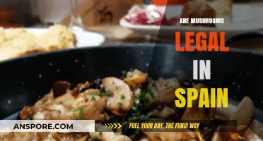 Exploring Spain's Legal Stance on Magic Mushrooms: What You Need to Know