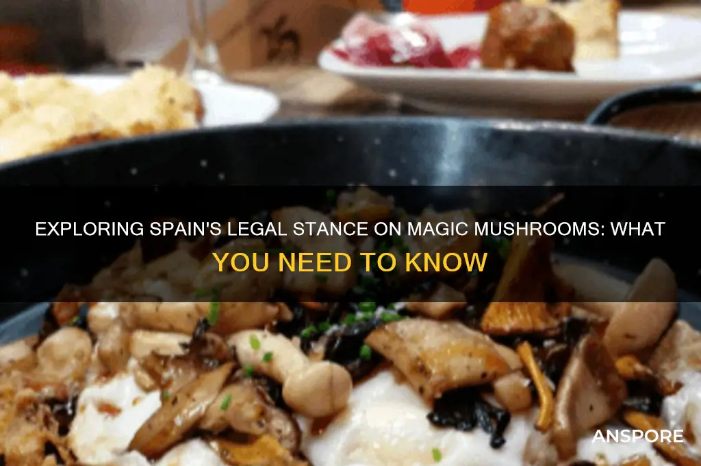 are mushrooms legal in spain