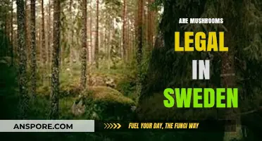 Are Mushrooms Legal in Sweden? Exploring Psilocybin Laws and Regulations