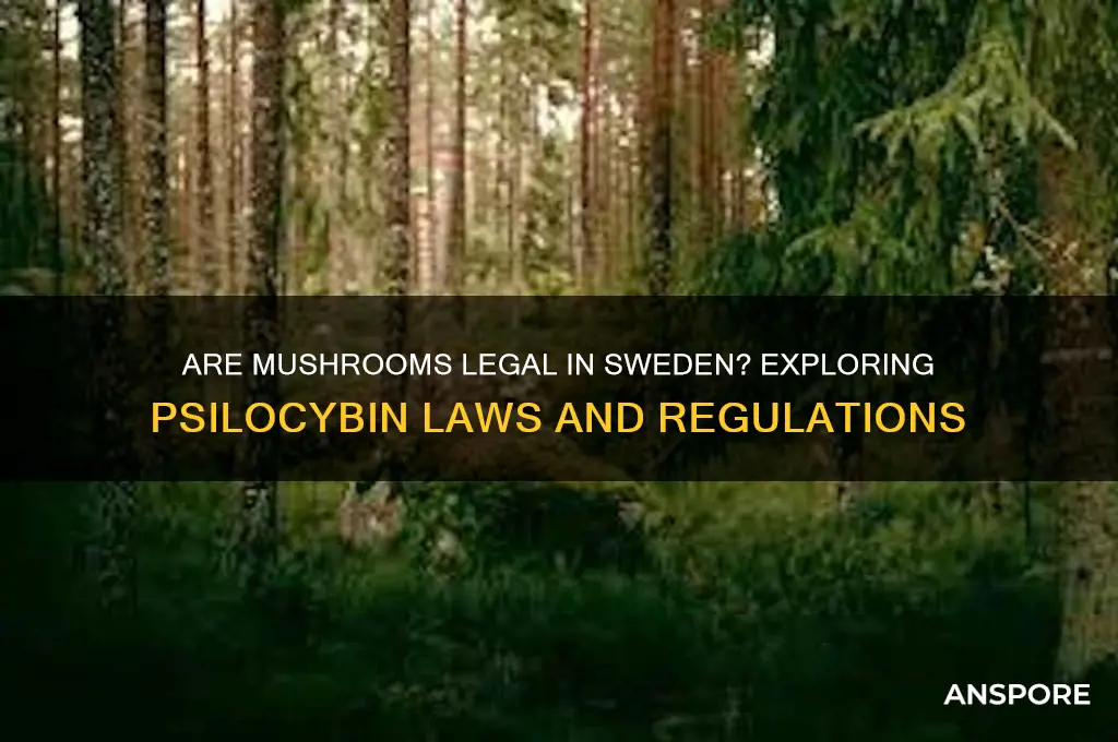 are mushrooms legal in sweden