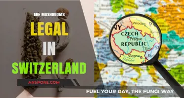 Are Mushrooms Legal in Switzerland? Exploring Psilocybin Laws and Regulations