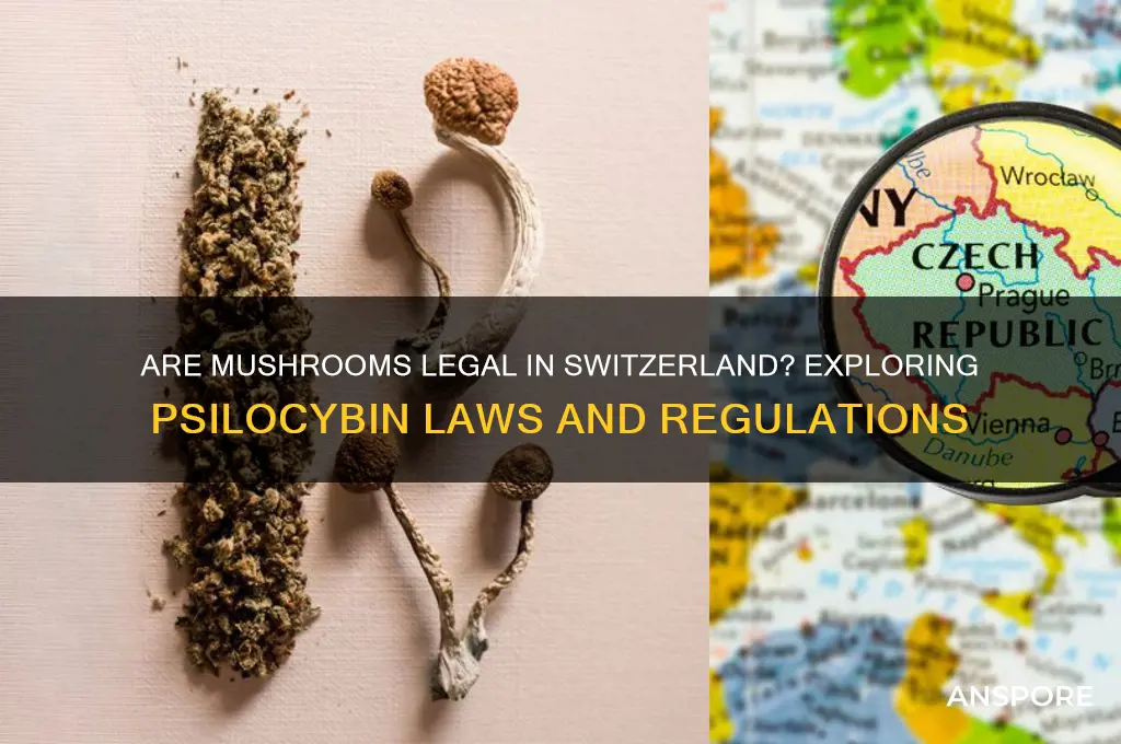 are mushrooms legal in switzerland